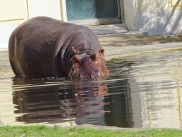 Tiergarten Schönbrunn am 03.10.2025